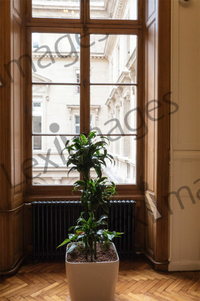 Cour d’appel de Paris P1520153