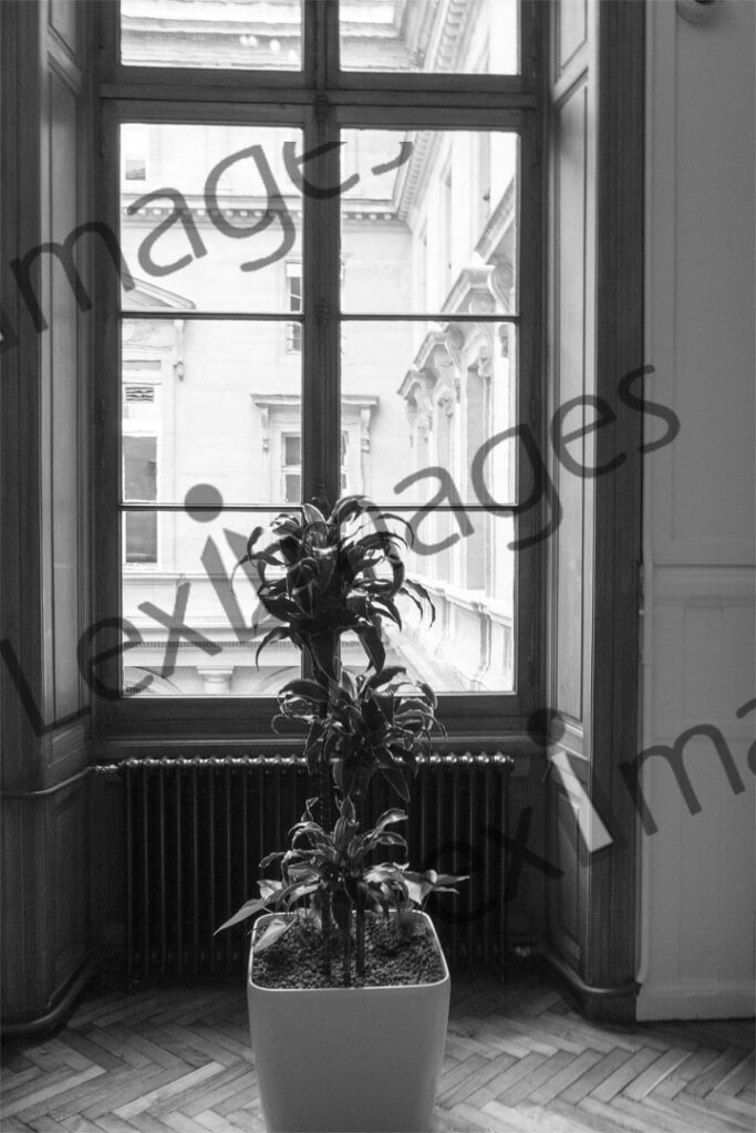 Cour d’appel de Paris P1520153nb