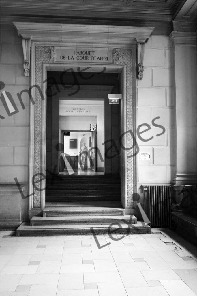 Cour d’appel de Paris P1520176nb